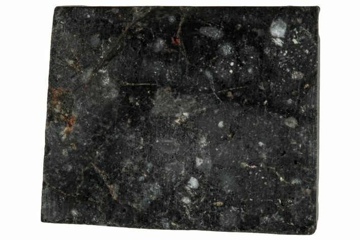 Polished, Starry Night Lunar Meteorite Slice ( g) - NWA #291412